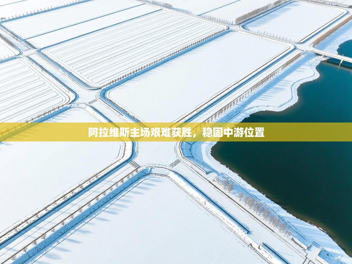 开云体育app下载-阿拉维斯主场艰难获胜，稳固中游位置  第2张