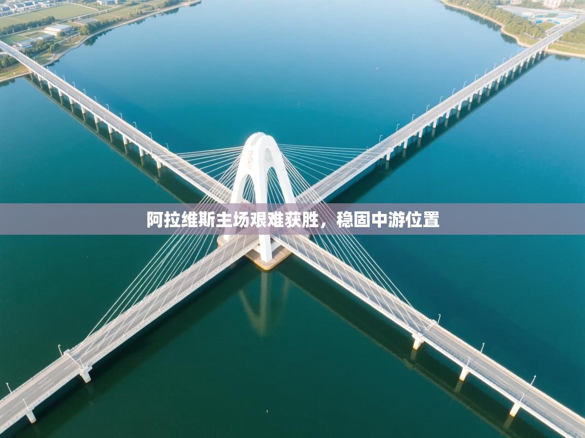 开云体育app下载-阿拉维斯主场艰难获胜，稳固中游位置  第3张