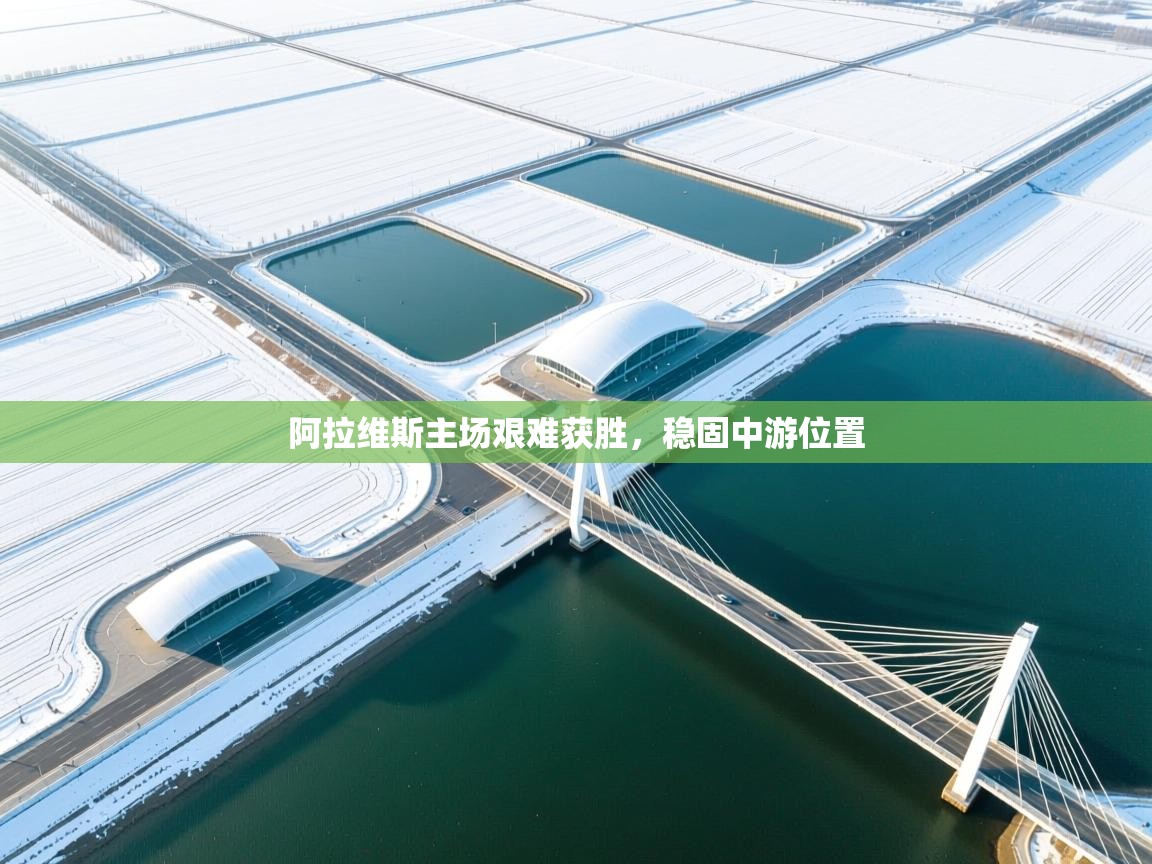 开云体育app下载-阿拉维斯主场艰难获胜，稳固中游位置  第4张