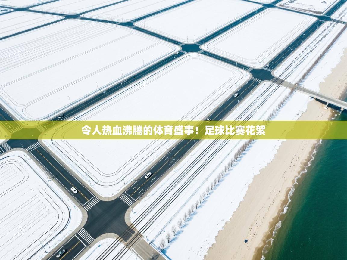 开云网页版-令人热血沸腾的体育盛事！足球比赛花絮  第1张