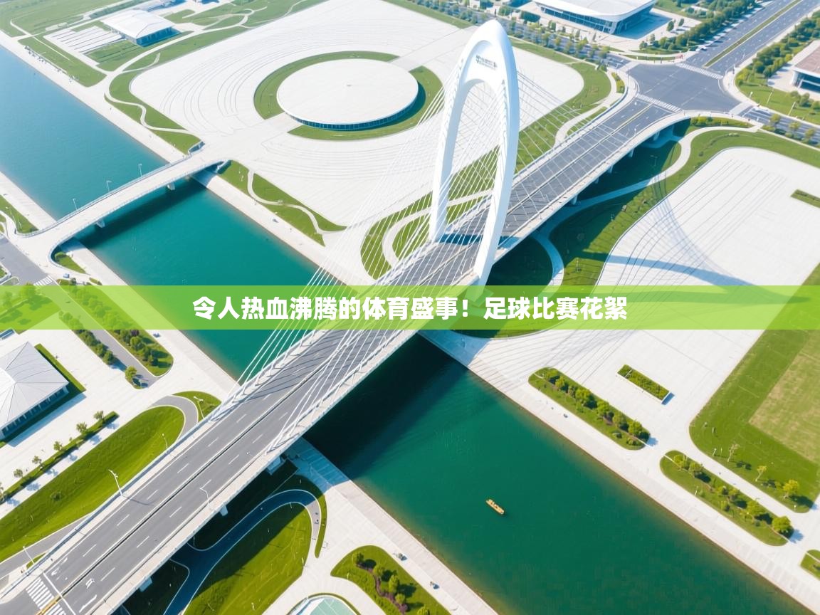 开云网页版-令人热血沸腾的体育盛事！足球比赛花絮  第2张