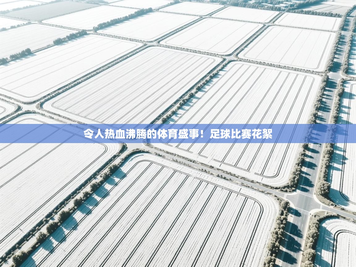 开云网页版-令人热血沸腾的体育盛事！足球比赛花絮  第3张