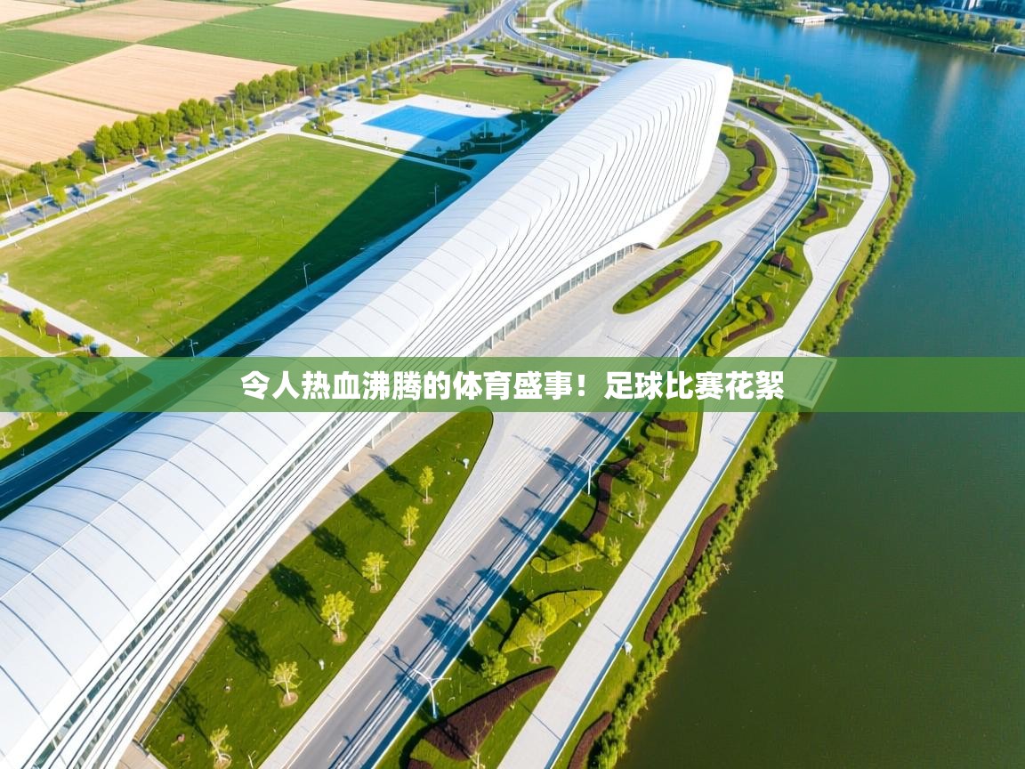 开云网页版-令人热血沸腾的体育盛事！足球比赛花絮  第4张