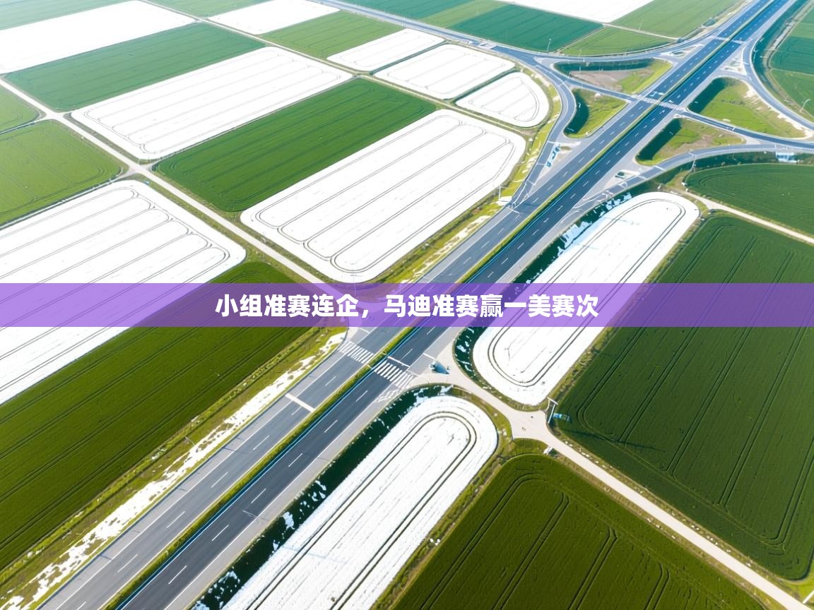 开云体育app下载链接-小组准赛连企,马迪准赛赢一美赛次 第1张