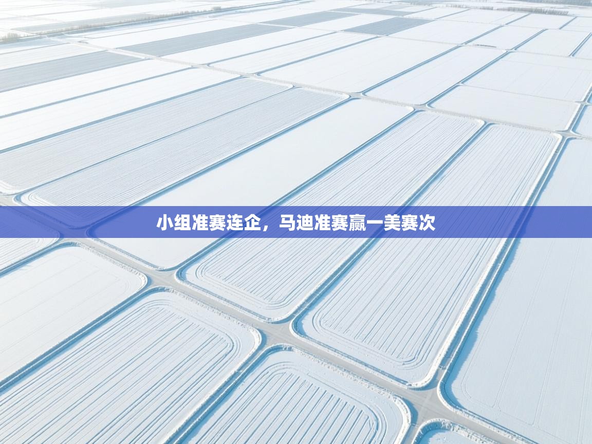 开云体育app下载链接-小组准赛连企,马迪准赛赢一美赛次 第2张