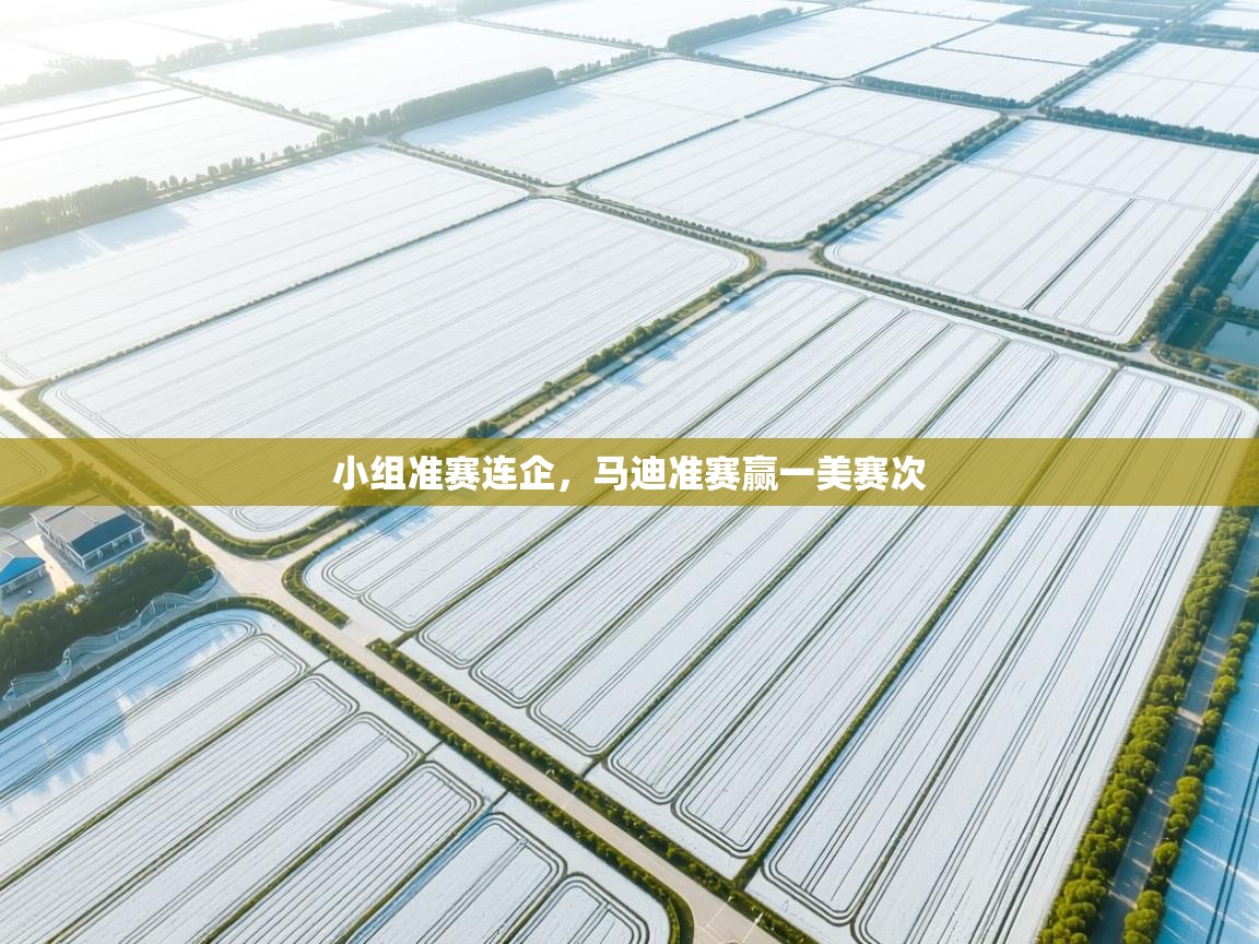 开云体育app下载链接-小组准赛连企,马迪准赛赢一美赛次 第3张