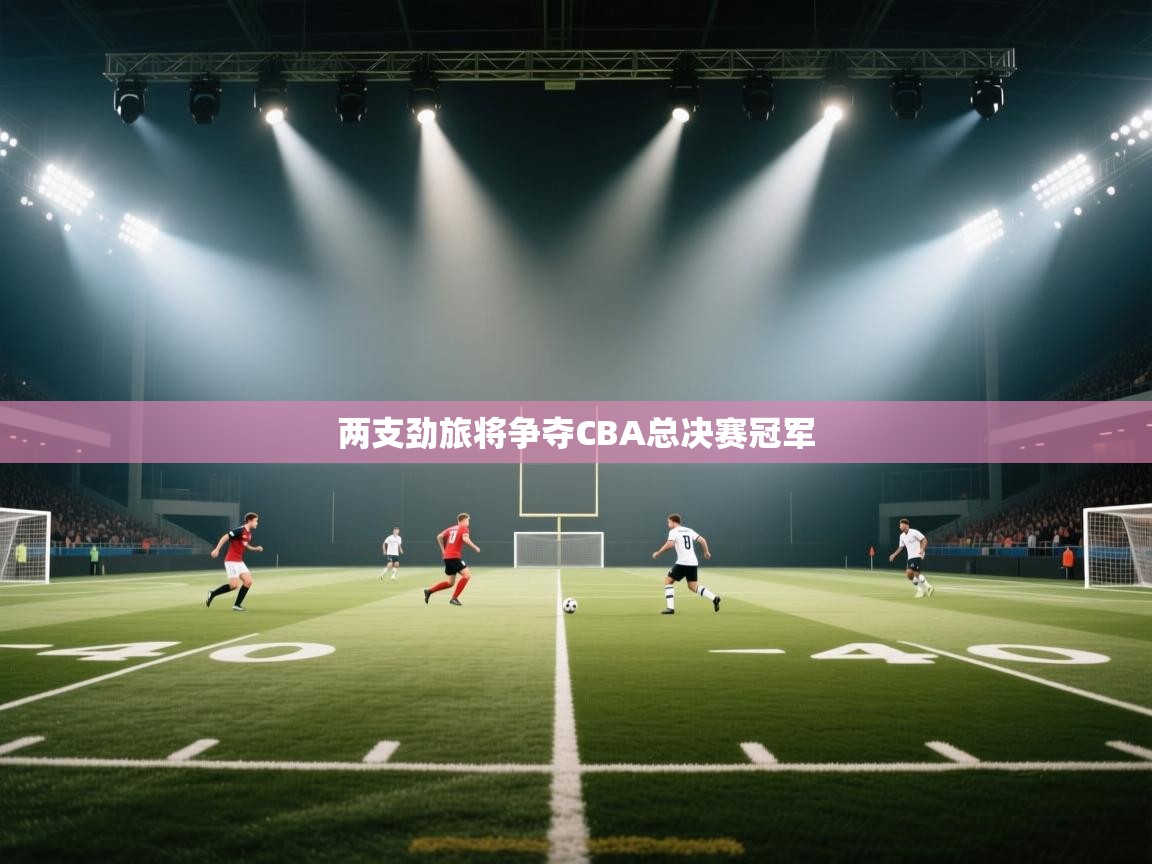 开云体育入口-两支劲旅将争夺CBA总决赛冠军  第1张