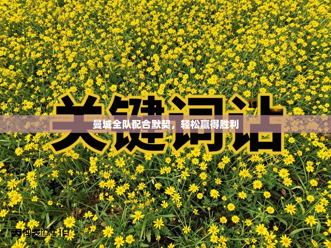 开云体育直播平台-曼城全队配合默契,轻松赢得胜利 第4张