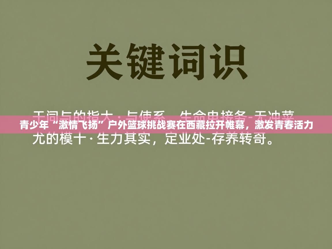 云开体育app官网入口网页版-青少年“激情飞扬”户外篮球挑战赛在西藏拉开帷幕,激发青春活力 第2张